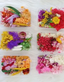 dried flower box for resin
